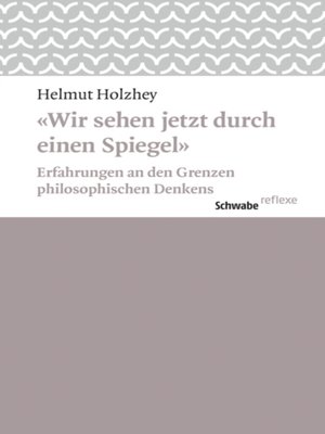 cover image of Wir sehen jetzt durch einen Spiegel